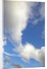 Lenticular and cumulus clouds in Denali National Park by Anonymous