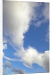 Lenticular and cumulus clouds in Denali National Park by Anonymous