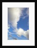 Lenticular and cumulus clouds in Denali National Park by Anonymous
