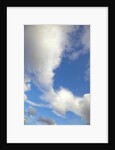 Lenticular and cumulus clouds in Denali National Park by Anonymous