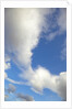 Lenticular and cumulus clouds in Denali National Park by Anonymous