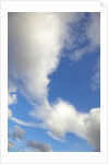 Lenticular and cumulus clouds in Denali National Park by Anonymous