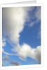 Lenticular and cumulus clouds in Denali National Park by Anonymous