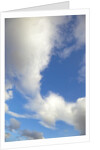 Lenticular and cumulus clouds in Denali National Park by Anonymous