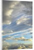 Cumulus clouds near Mt.McKinley by Anonymous