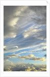 Cumulus clouds near Mt.McKinley by Anonymous