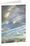 Cumulus clouds near Mt.McKinley by Anonymous