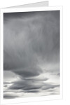 Clouds in Denali National Park by Anonymous