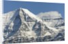 Mt. Robson by Anonymous