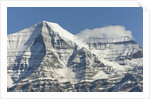 Mt. Robson by Anonymous