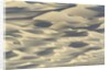 Sand dunes in Death Valley National Park by Anonymous