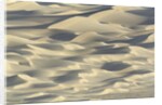 Sand dunes in Death Valley National Park by Anonymous