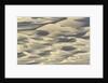 Sand dunes in Death Valley National Park by Anonymous