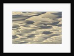 Sand dunes in Death Valley National Park by Anonymous