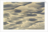 Sand dunes in Death Valley National Park by Anonymous