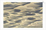 Sand dunes in Death Valley National Park by Anonymous