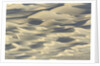 Sand dunes in Death Valley National Park by Anonymous