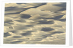 Sand dunes in Death Valley National Park by Anonymous