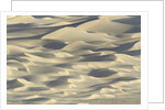 Sand dunes in Death Valley National Park by Anonymous