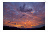 Colored clouds above Colorado River at sunset by Anonymous
