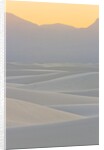 White Sands National Monument by Anonymous