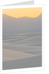 White Sands National Monument by Anonymous