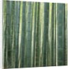Bamboo Forest in Kyoto by Anonymous