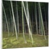 Bamboo Forest in Kyoto by Anonymous