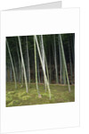 Bamboo Forest in Kyoto by Anonymous