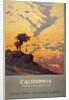 California poster by Anonymous