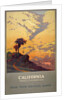 California poster by Anonymous