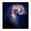 Antennae galaxies by Anonymous