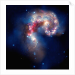 Antennae galaxies by Anonymous