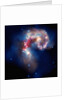 Antennae galaxies by Anonymous