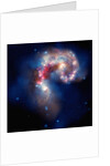 Antennae galaxies by Anonymous