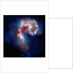 Antennae galaxies by Anonymous