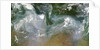 Smoke From Russian Wildfires by Anonymous