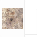 Big Bend National Park by Anonymous