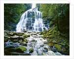 The many tiered Nelson Falls and lush rainforest located in the Franklin-Gordon Wild Rivers National Park, Tasmania. by Anonymous