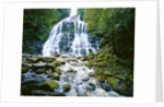 The many tiered Nelson Falls and lush rainforest located in the Franklin-Gordon Wild Rivers National Park, Tasmania. by Anonymous