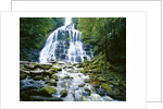 The many tiered Nelson Falls and lush rainforest located in the Franklin-Gordon Wild Rivers National Park, Tasmania. by Anonymous