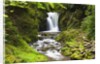 Geroldsauer Waterfall in Grobbach Valley in the Black Forest by Anonymous