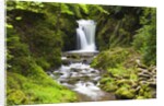 Geroldsauer Waterfall in Grobbach Valley in the Black Forest by Anonymous