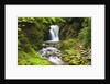Geroldsauer Waterfall in Grobbach Valley in the Black Forest by Anonymous