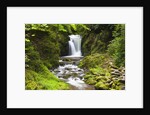 Geroldsauer Waterfall in Grobbach Valley in the Black Forest by Anonymous