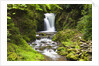 Geroldsauer Waterfall in Grobbach Valley in the Black Forest by Anonymous