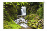 Geroldsauer Waterfall in Grobbach Valley in the Black Forest by Anonymous
