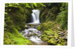 Geroldsauer Waterfall in Grobbach Valley in the Black Forest by Anonymous