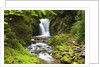 Geroldsauer Waterfall in Grobbach Valley in the Black Forest by Anonymous