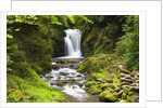 Geroldsauer Waterfall in Grobbach Valley in the Black Forest by Anonymous